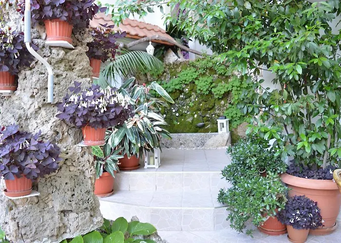 Family Sofi מלון סוזופול