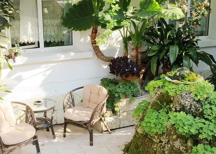 Family Sofi 3* סוזופול