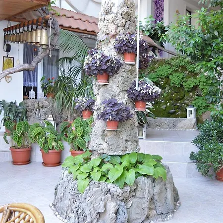 Family Sofi Σωζόπολη