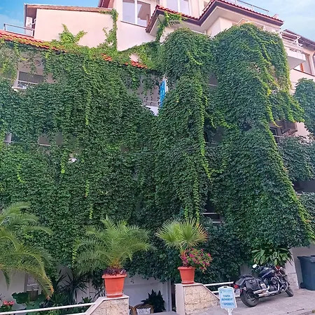 Family Sofi Hotel