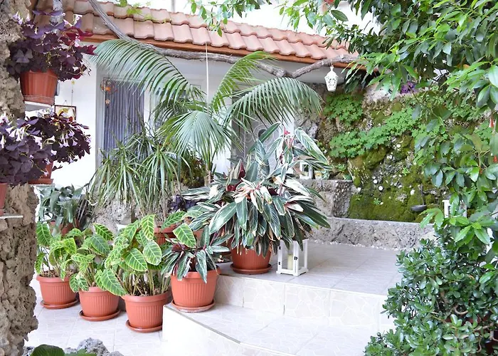 Family Sofi Ξενοδοχείο