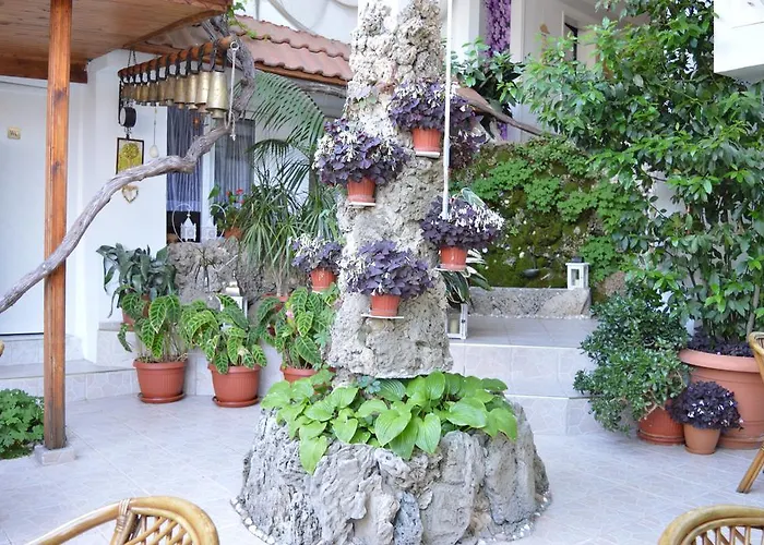 Family Sofi Σωζόπολη